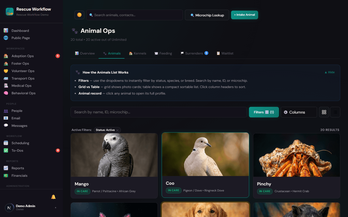 Animal dashboard — at-a-glance status for your entire roster